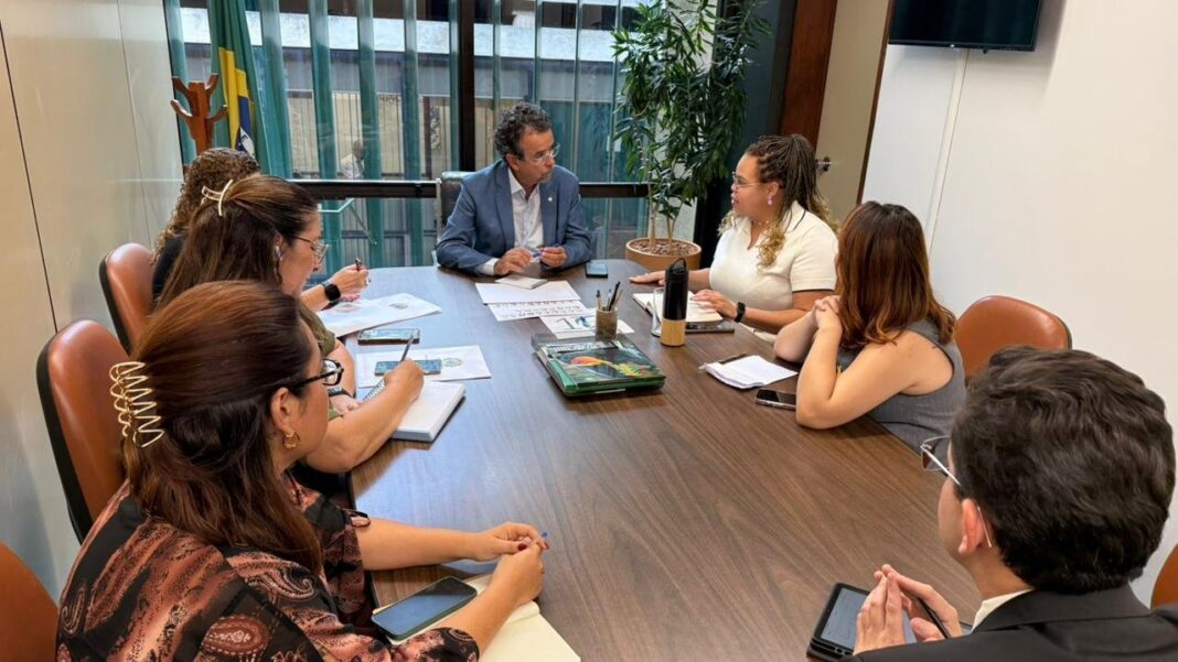 Mineiro assume GT de Renováveis e quer proteção para atingidos por eólicas